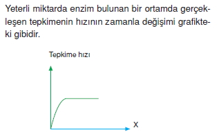 Canlilarintemelbilesimicozumlutest1 (2)