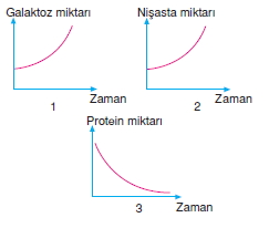 Canlilarintemelbilesimicozumlutest1 (3)