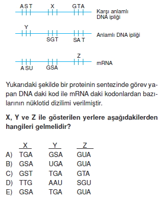 Canlilarintemelbilesimicozumlutest1 (3)