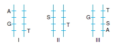 Canlilarintemelbilesimicozumlutest1 (4)