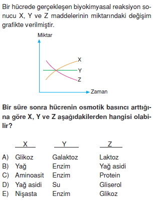 Canlilarintemelbilesimicozumlutest1 (4)