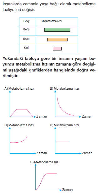 Canlilarintemelbilesimicozumlutest1 (5)