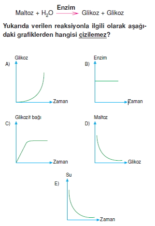 Canlilarintemelbilesimicozumlutest1 (6)