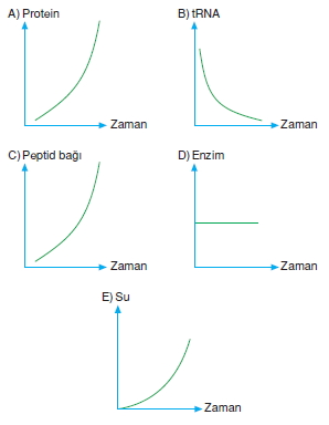 Canlilarintemelbilesimicozumlutest1 (6)