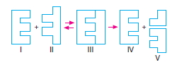 Canlilarintemelbilesimicozumlutest1 (7)