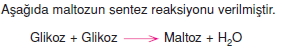 Canlilarintemelbilesimicozumlutest1 (8)