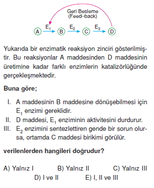 Canlilarintemelbilesimicozumlutest1 (9)