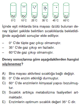 Canlilarintemelbilesimicozumlutest1