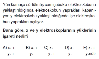 Elektrostatik test 1006