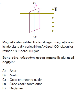 Magnetizma test 4010