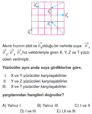 bagilhareketcozumlutest2006