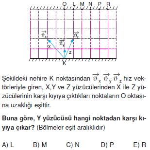 bagilhareketcozumlutest2007