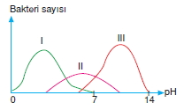 bilimselyontem2000liyillarinbilimibiyolojicanlilarinortakozelliklericozumlutest1 (10)