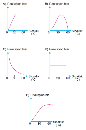 bilimselyontem2000liyillarinbilimibiyolojicanlilarinortakozelliklericozumlutest1 (11)