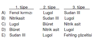 bilimselyontem2000liyillarinbilimibiyolojicanlilarinortakozelliklericozumlutest1 (12)