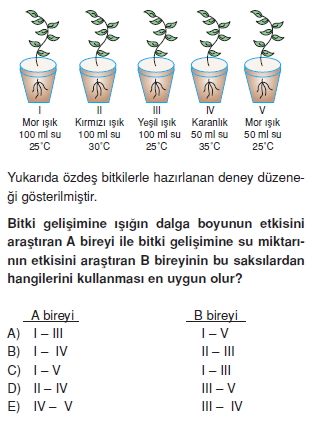 bilimselyontem2000liyillarinbilimibiyolojicanlilarinortakozelliklericozumlutest1 (13)