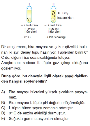 bilimselyontem2000liyillarinbilimibiyolojicanlilarinortakozelliklericozumlutest1 (14)