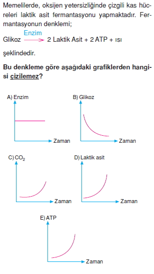 bilimselyontem2000liyillarinbilimibiyolojicanlilarinortakozelliklericozumlutest1 (5)