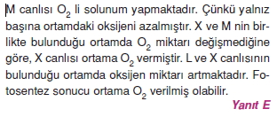 bilimselyontem2000liyillarinbilimibiyolojicanlilarinortakozelliklericozumlutest1 (6)