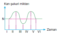 bilimselyontem2000liyillarinbilimibiyolojicanlilarinortakozelliklericozumlutest1