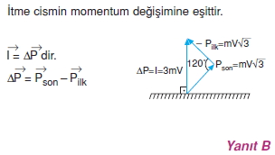 itmemomentumcozumler1006