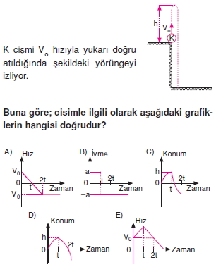 yeryuzundeharekettest2002