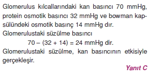 Bosaltimsistemicözümler2006