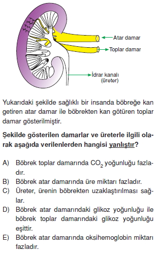 Bosaltimsistemicözümlütest1001