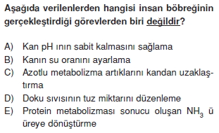 Bosaltimsistemicözümlütest1002