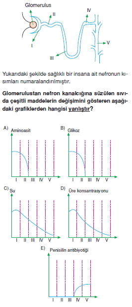 Bosaltimsistemicözümlütest1004