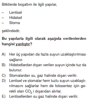 Bosaltimsistemicözümlütest2002