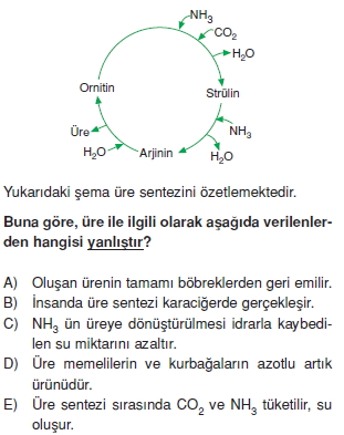 Bosaltimsistemicözümlütest2004