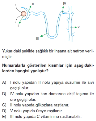 Bosaltimsistemicözümlütest2005