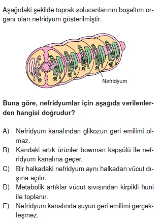 Bosaltimsistemicözümlütest2008