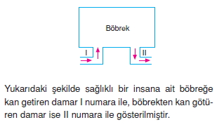 Bosaltimsistemikonutesti1001