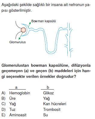 Bosaltimsistemikonutesti1002