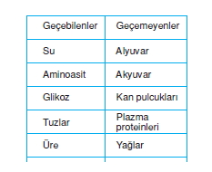 Bosaltimsistemikonutesti3005
