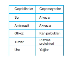 Bosaltimsistemikonutesti3005