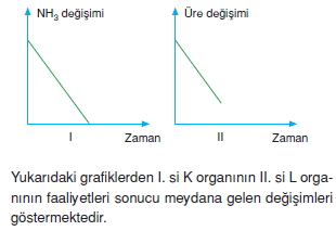 Bosaltimsistemikonutesti4005