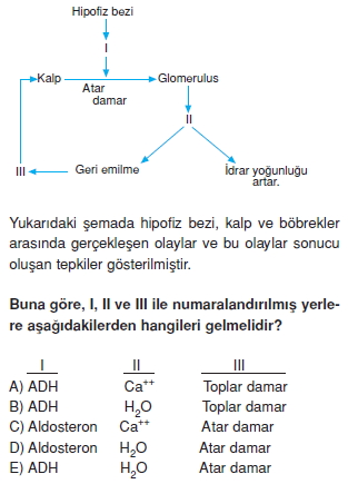 Bosaltimsistemikonutesti5001