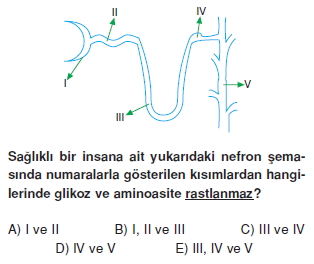 Bosaltimsistemikonutesti5003