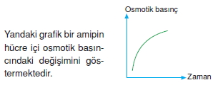 Canlilarintemelbilesimicozumlutest1 (10)