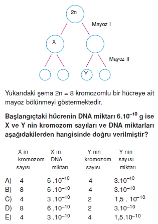 Canlilarintemelbilesimicozumlutest1 (12)