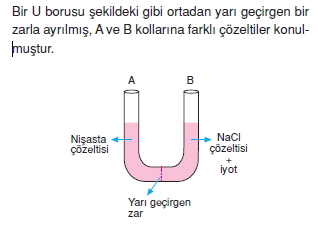 Canlilarintemelbilesimicozumlutest1 (16)