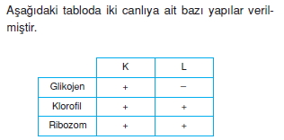 Canlilarintemelbilesimicozumlutest1 (17)