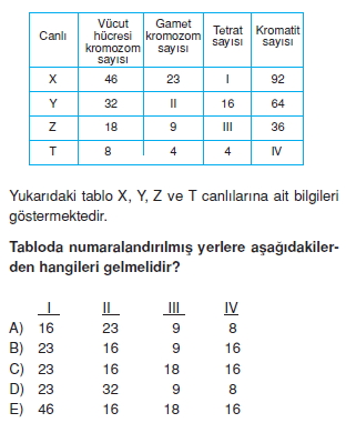 Canlilarintemelbilesimicozumlutest1 (17)