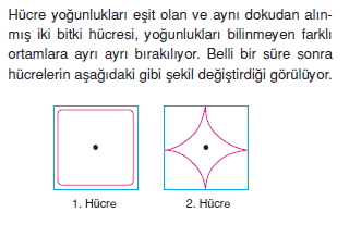 Canlilarintemelbilesimicozumlutest1 (18)