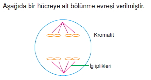 Canlilarintemelbilesimicozumlutest1 (19)