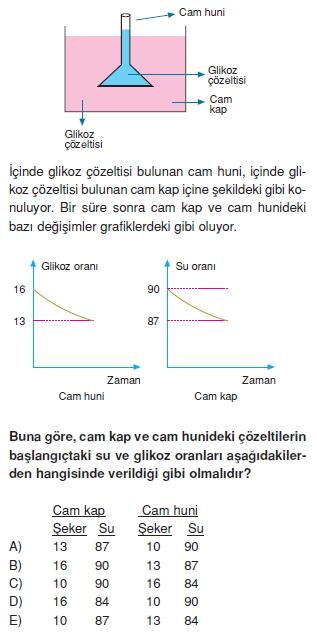 Canlilarintemelbilesimicozumlutest1 (2)