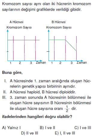 Canlilarintemelbilesimicozumlutest1 (29)